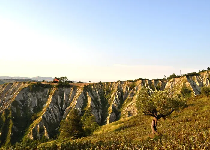 Al Belvedere Ii * アトリ